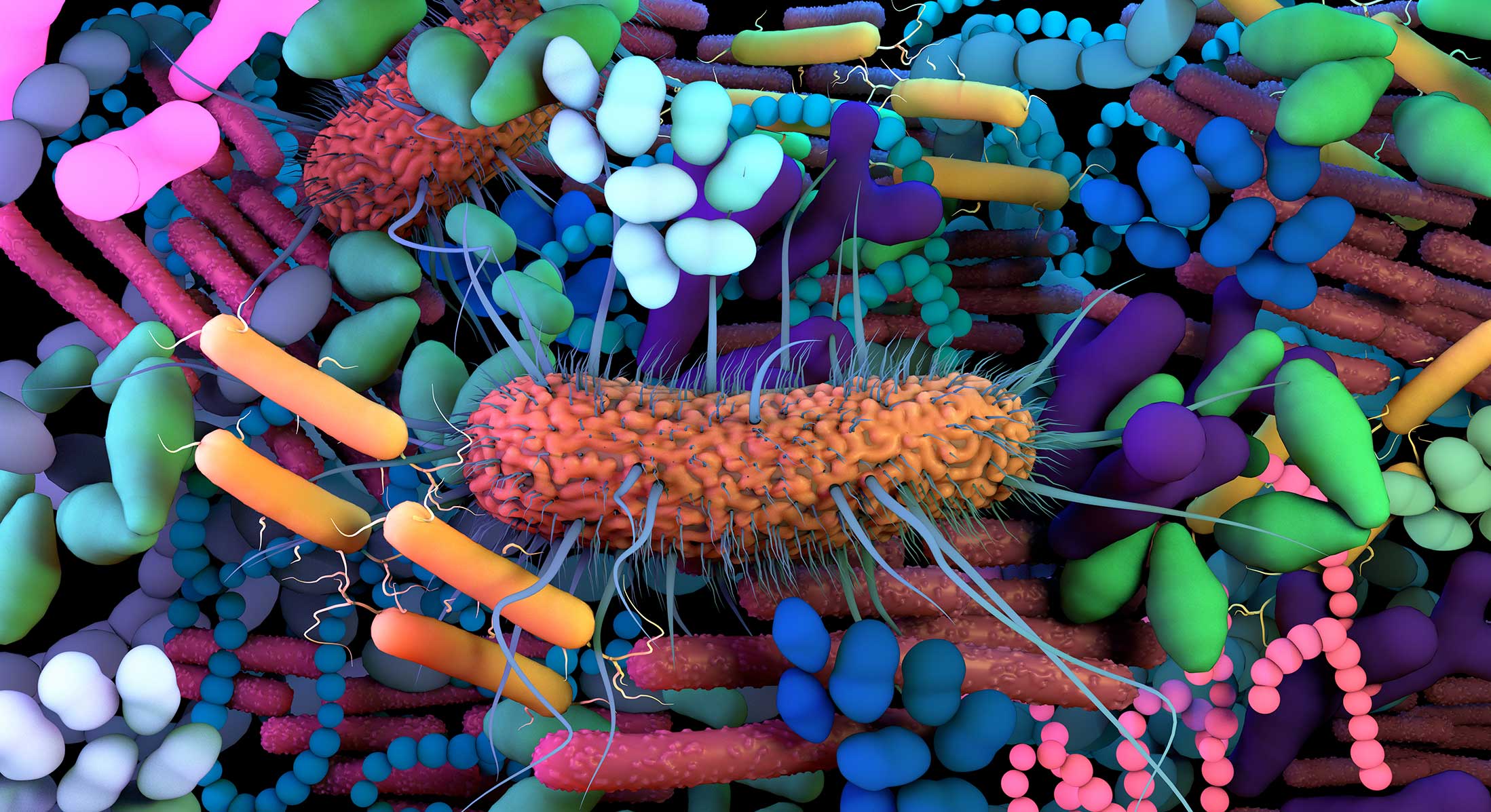 microbiome